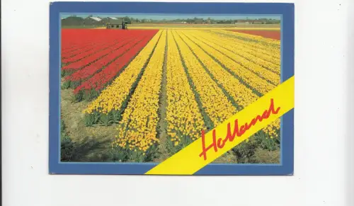 BF29861 Holland Netherland Front/Back Image