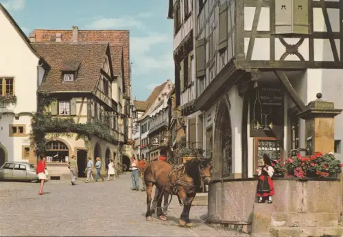 BF24398 riquewihr h r horse france front/back image