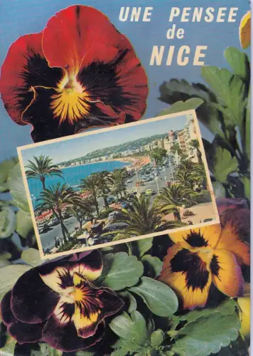 BF12966 schönes la promenade des anglais france Vorder-/Rückbild