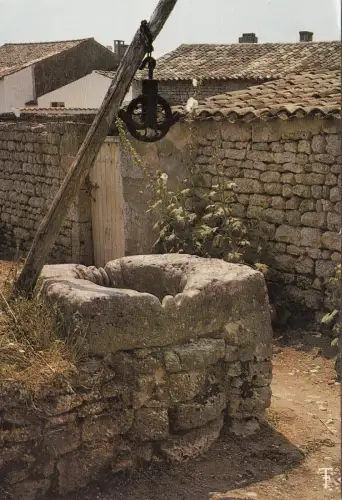 BF19772 ile d oleron la cotiniere puits ancien france front/back image