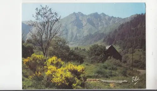 BF28854 le mont dore 63 le sgenets fleuris dans la val france front/back image