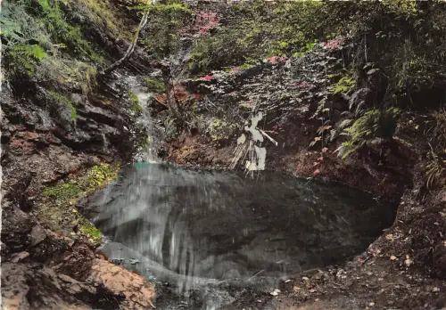 BG7050 vallon du ninglinspo nonceveux remouchamps belgium CPSM 15x10,5cm