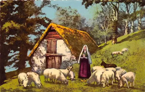 BR25024 Sainte Bernadete Moutons Schafe Belgien