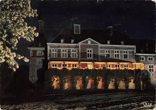 BT4726 L Hirondelle Oteppe Illuminations Le Chateau Belgium