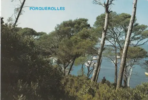 BF20108 porquerolles la crique de l alycastre france front/back image