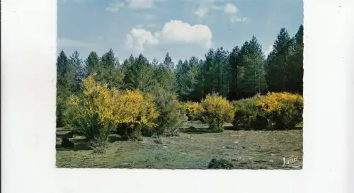 BF22107 les genets en sologne france front/back image