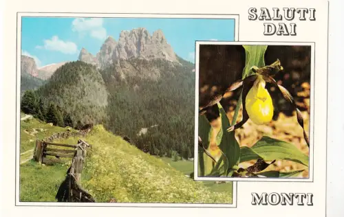 BF23604 monti italy front/back image