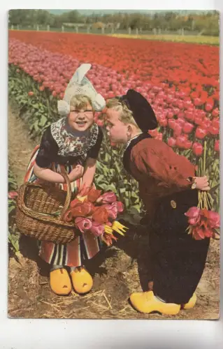 BF29863 Typen Kind Holland in Bloementooi Niederlande Vorder-/Hinterbild