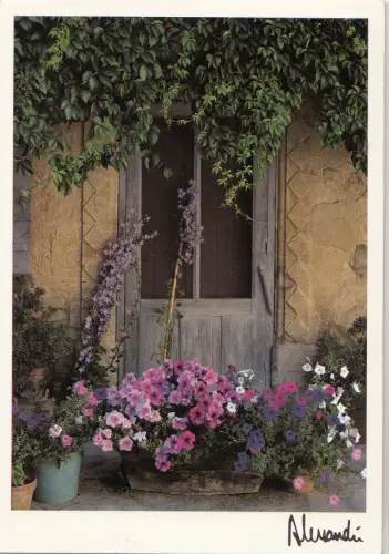 BF15118 porte fleurie france front/back image