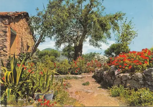 BF22341 cote d azur paysage provencal france front/back image