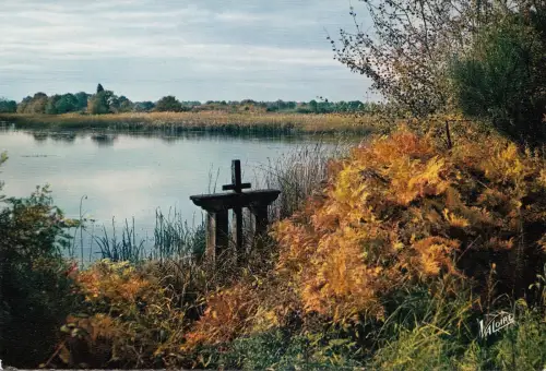 BF22428 etang a l automne en sologne france front/back image