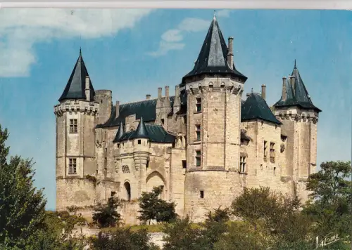 BF15794 saumur le chateau l entree france front/back image