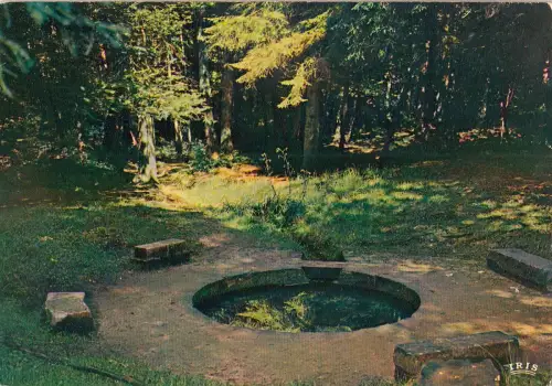 BF15151 foret de troncais allier l une des plus belles d france front/back image