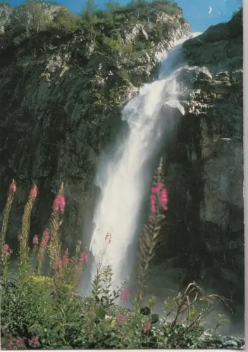 BF25422 cascade et lys martagon pour un coin de vacanc france front/back image