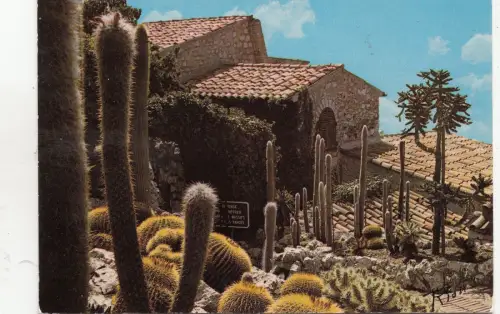 BF24392 cote d azur plantes exotiques france front/back image