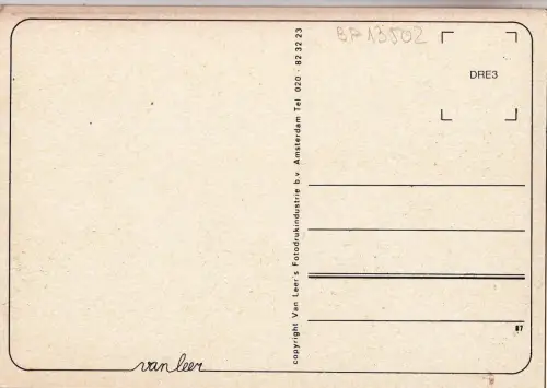 BF13502 Pferdetypen mooi drente niederlande Vorder-/Rückbild