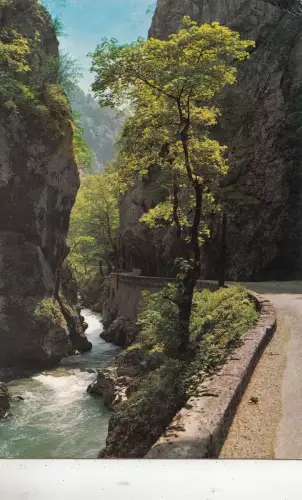 BF21263 route du desert dans la gorge guiers mort france front/back image