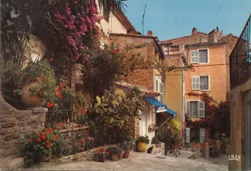 BF22353 bormes les mimosas un coin pittoresque france front/back image