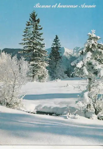 BF24820 bonne et heureuse annee landscape france front/back image