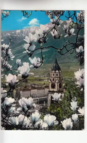 BF23305 primavera a merano italy Vorder-/Rückbild