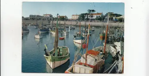 BF31880 ile d oleron le port de la cotiniere ship france front/back image