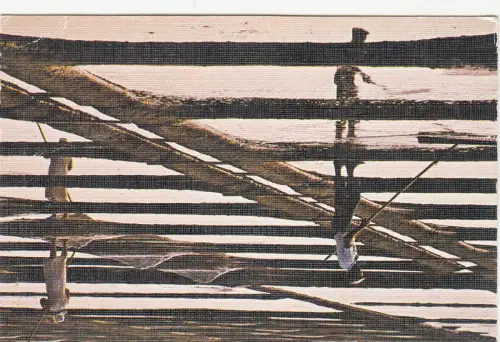 BF13427 cote atlantique a l aide de sa rable le paludier france front/back image