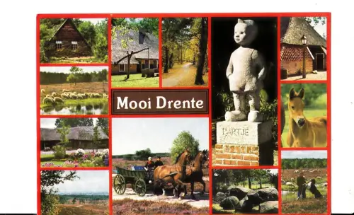 BF13501 Pferdetypen mooi drente niederlande Vorder-/Rückbild