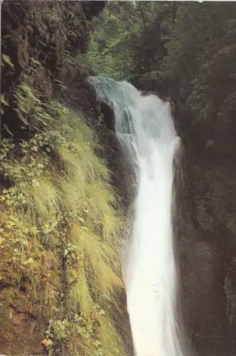 BF15197 cascade du plat a barbe auvergne france front/back image