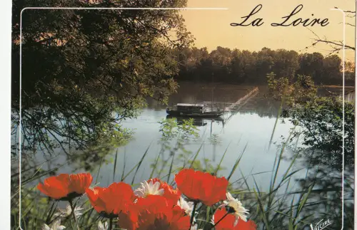 BF15504 la loire landscape france front/back image