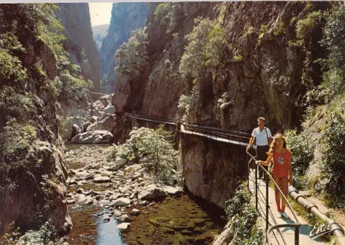 BF13934 amelie les bains p o les gorges du mondony france front/back image