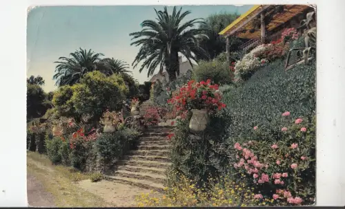 BF30924 Rolltreppe fleuri au rayol var france front/back image