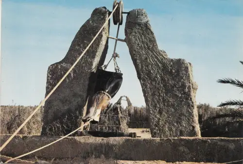 BF17666 biskra scnes set types algeria front/back image