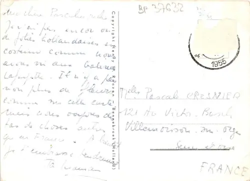 BF37632 le printemps de netherlands tulip windmill mill moulin a vent