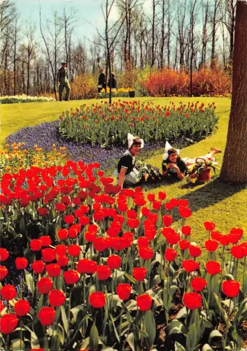 BR77053 Holland in Bloementooi Blume Niederlande