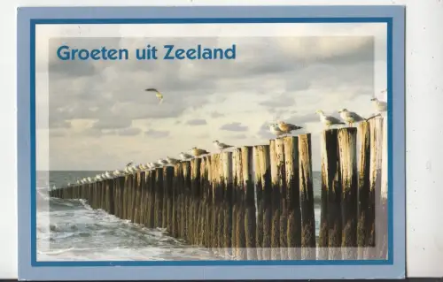BF29859 Zeeland Netherland Front/Back Image