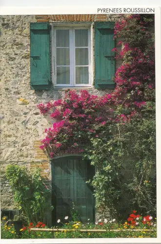 BF15297 Pyrenäen Roussillon Fassade Fleurie d Un Mas Katze Frankreich Vorder-/Rückbild
