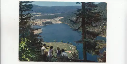 BF28648 le lac de longemer vosges vieux chevaux france front/back image