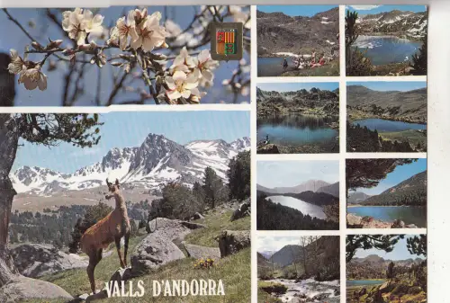 BF29243 Typen Multi Views Andorra Vorder-/Rückbild