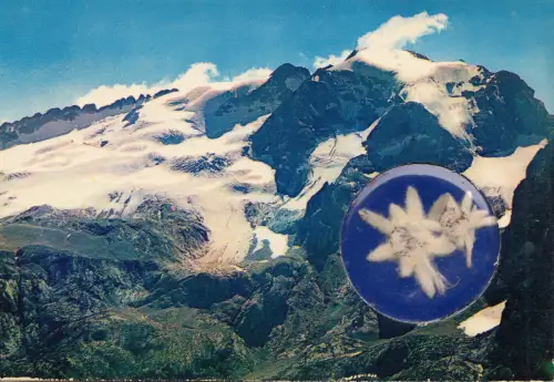 BF23072 dolomiti ghiaccialo della marmolada italy front/back image