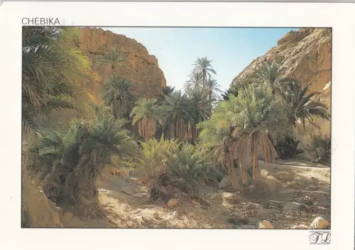 BF18655 chebika un coin de paradis tunisia front/back image