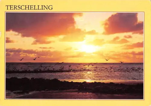 BT4676 Terschelling Niederlande