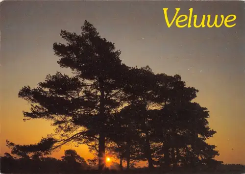 BT4442 Veluwe Niederlande