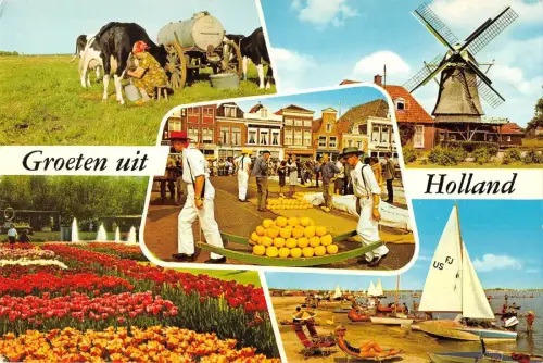 BT2842 holland cow vaches ship bateaux Holland Netherlands