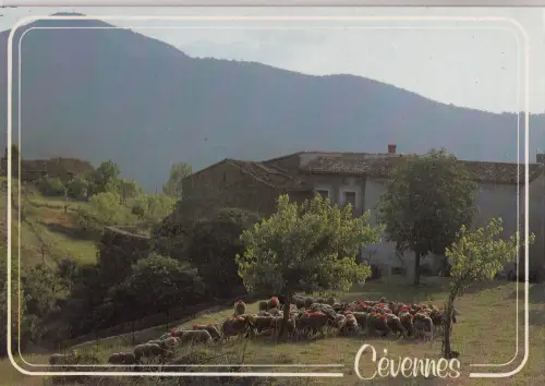 BF20394 encevennen frankreich Vorder-/Rückbild