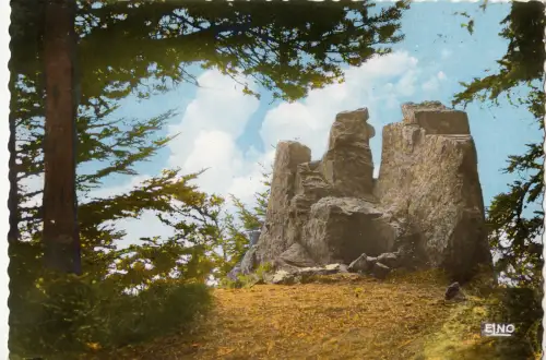 BF13864 Lamellen ardeche les rochers de rochelipe france Vorder-/Rückbild