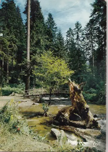 BF21267 la vologne dans son cadre de verdure france front/back image