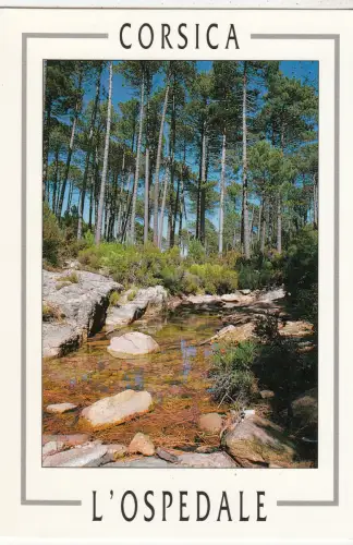 BF22324 la foret corse de l pspedale france front/back image