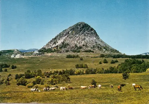 BF13373 gerboer de jonc ardeche source de la lore france front/back image