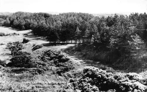 BG29744 groetern uit de kennemerduinen netherlands CPSM 14x9cm