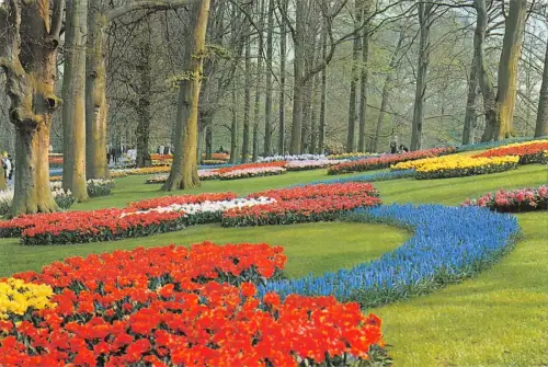 BR85554 keukenhof lisse holland niederlande